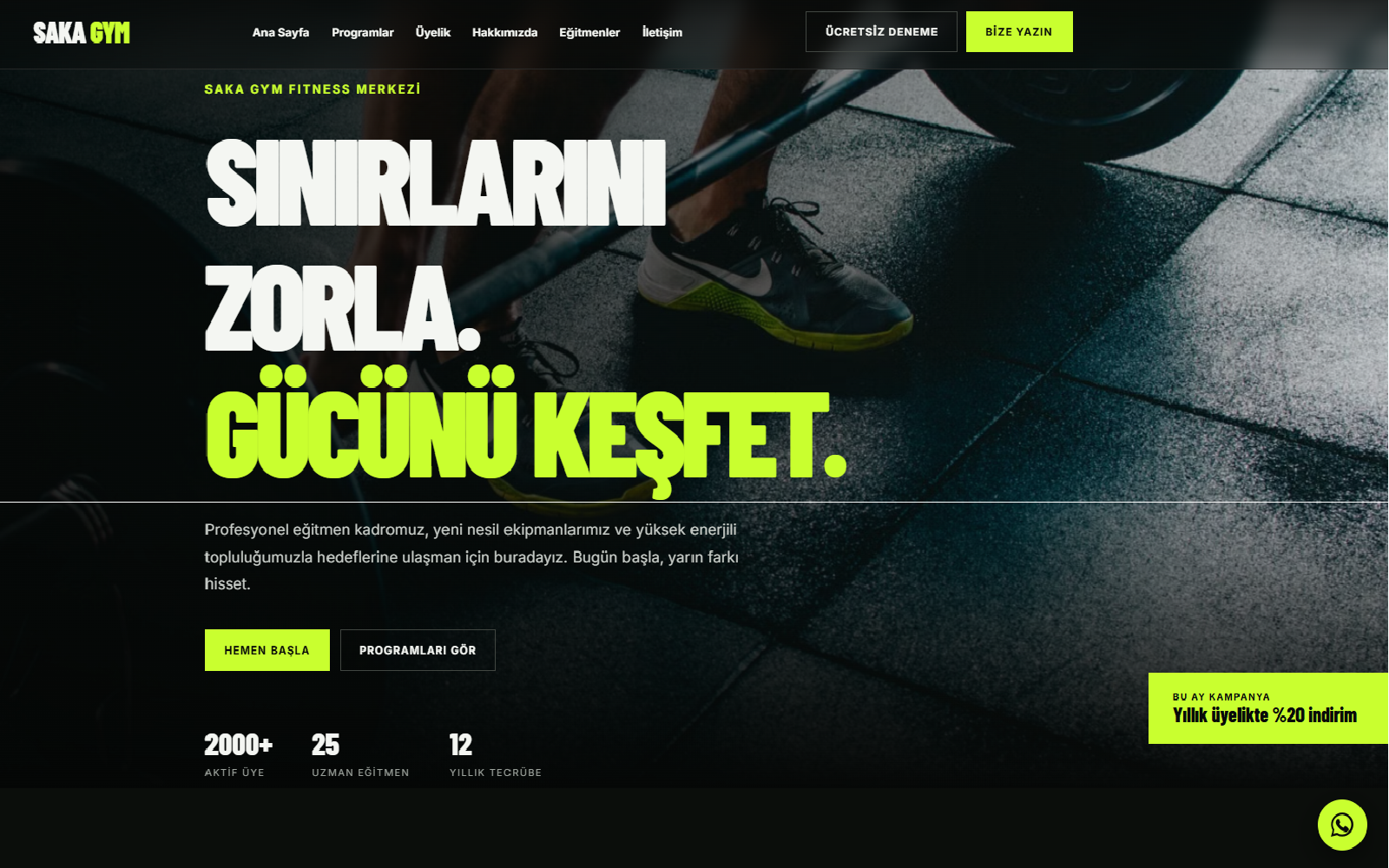 Saka Gym demo web sitesi referans çalışması